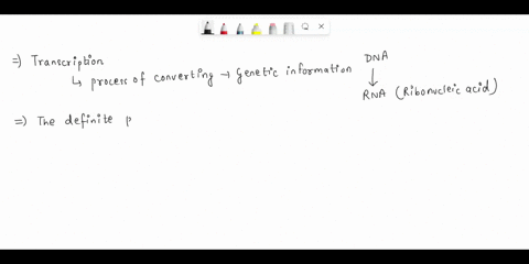 transcription-is-the-process-of-converting-the-genetic-message-from-dna-into-05424