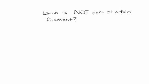 which-is-not-part-of-a-thin-filament-a-myosin-b-actin-c-tropomyosin-d-troponin