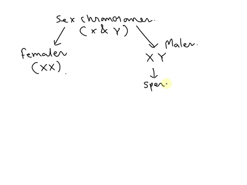 SOLVED: the sex of newborn child is metro of chance and known of the  parents may be considered responsible for it justify the statement with the  help of flow chart showing sex