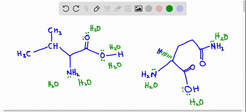 re-draw-the-first-amino-acid-from-above-surrounded-by-at-least-5-water-molecules-draw-at-least-5-hydrogen-bonds-between-the-water-molecules-2