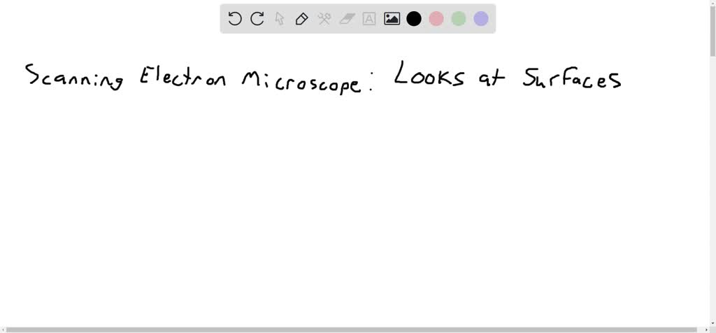SOLVED: Question 3 (1 point) Scanning electron microscopy is most often ...