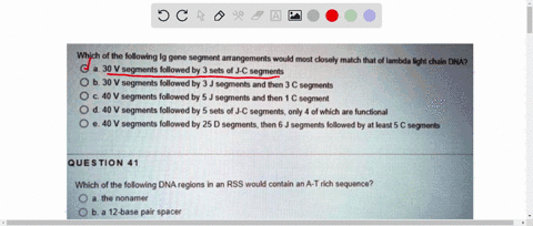 question-which-of-the-following-ig-gene-segment-arangements-would-mosl-closely-match-that-of-lambda-light-chain-dna-30-v-segments-followed-by-3-sets-of-j-c-segments-30-v-segments-followed-by-33252
