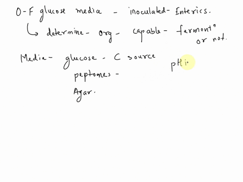 3-all-enterics-enterobacteriaceae-are-facultative-anaerobes-and-are-capable-of-both-aerobic-respiration-and-fermentation-what-color-results-would-you-expect-for-organisms-in-0-f-glucose-medi-13982