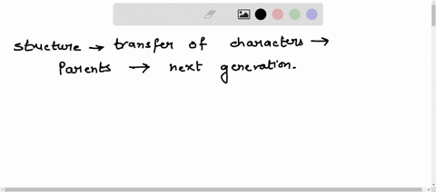 the-structure-responsible-for-the-transfer-of-characters-from-the-parents-to-the-next-generation-is-56128