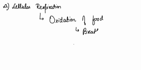 explain-why-the-lactic-acid-concentration-in-the-blood-in-trained-cycl6is-different-from-the-untrained-cyclists-right-minutes-after-the-exercise-25004