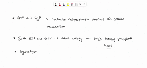 explain-why-a-gtp-molecule-or-another-nucleoside-triphosphate-is-energetically-equivalent-to-an-atp-molecule-in-metabolism-06754
