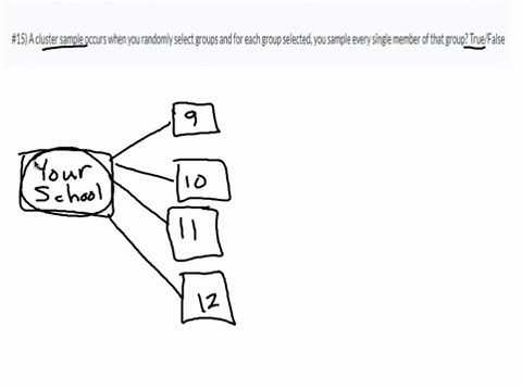 15-a-cluster-sample-occurs-when-you-randomly-select-groups-and-for-each-group-selected-you-sample-every-single-member-of-that-group-truefalse-55865