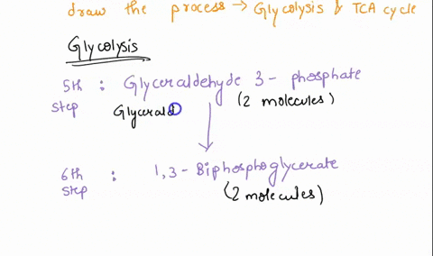 how-many-molecules-of-nadh-and-fadh2-are-made-if-one-glucose-molecule-goes-through-glycolysis-and-the-tca-cycle-show-your-detailed-work-here-by-naming-all-different-steps-that-make-nadh-and-71103