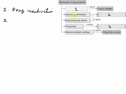 move-the-terms-into-the-correct-empty-boxes-to-complete-the-concept-map_-drug-can-t-bind-its-target-drug-precipitates-drug-inactivation-drug-enters-but-doesn-stay-drug-enhancement-mechanisms-16311