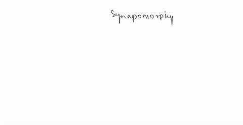 what-synapomorphy-shared-derived-trait-distinguishes-animals-as-a-monophyletic-group-distinct-from-2-55137