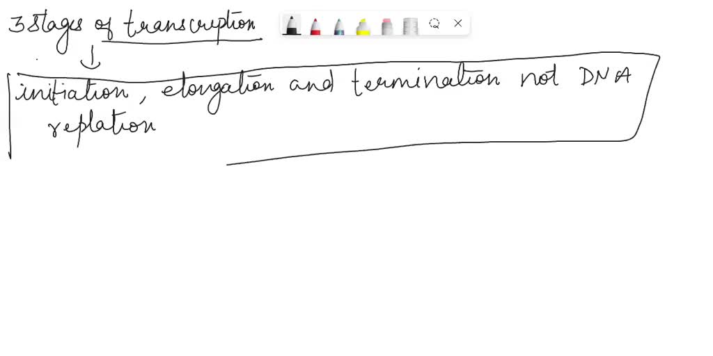 SOLVED: The Stages Of Translation Are Initiation, Elongation, And ...