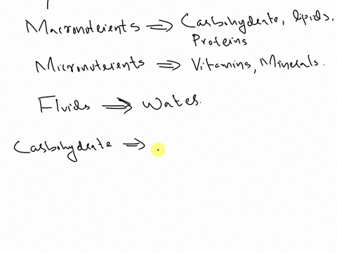 what-are-the-significance-of-each-of-dietary-carbohydrate-lipid-protein-vitamins-minerals-and-water-in-athletes-i-would-like-to-have-in-more-deep-details-87888
