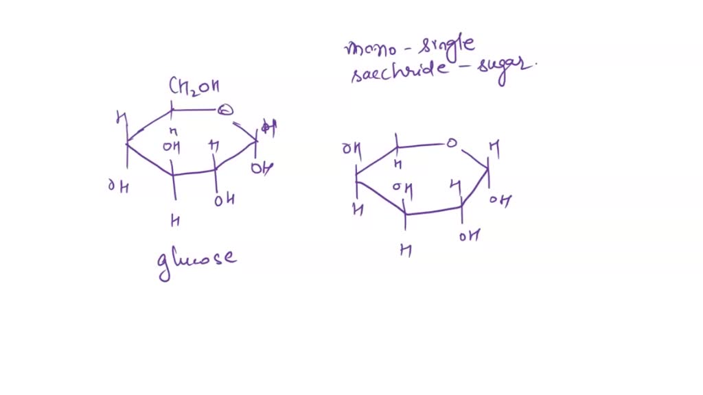 Carbohydrates article  Chemistry of life  Khan Academy