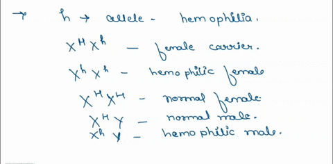 in-humans-hemophilia-is-a-sex-linked-recessive-trait-it-is-located-on-the-x-chromosome-remember-that-the-human-female-genotype-is-xx-and-the-male-genotype-is-xy-suppose-that-a-daughter-of-a-48406