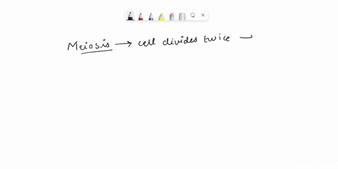 which-process-initiates-the-passage-of-half-of-a-parents-dna-to-offspring-33973