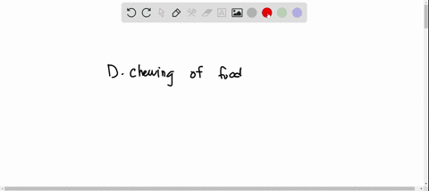 which-is-not-a-chemical-process-in-the-digestive-system-a-bile-interacting-with-digested-food-in-the-small-intestine-b-acids-reacting-with-food-particles-in-the-stomach-c-saliva-breaking-dow-01542