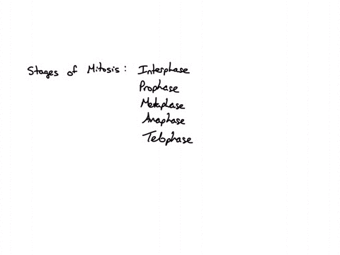 identify-the-circled-stage-of-mitosis-a-interphase-b-prophase-c-metaphase-d-anaphase-e-telophase-84434