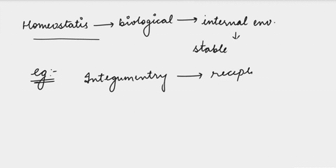 how-does-the-nerves-system-and-the-works-together-with-the-integumentary-system-to-help-the-body-to-maintain-homeostasis-48778