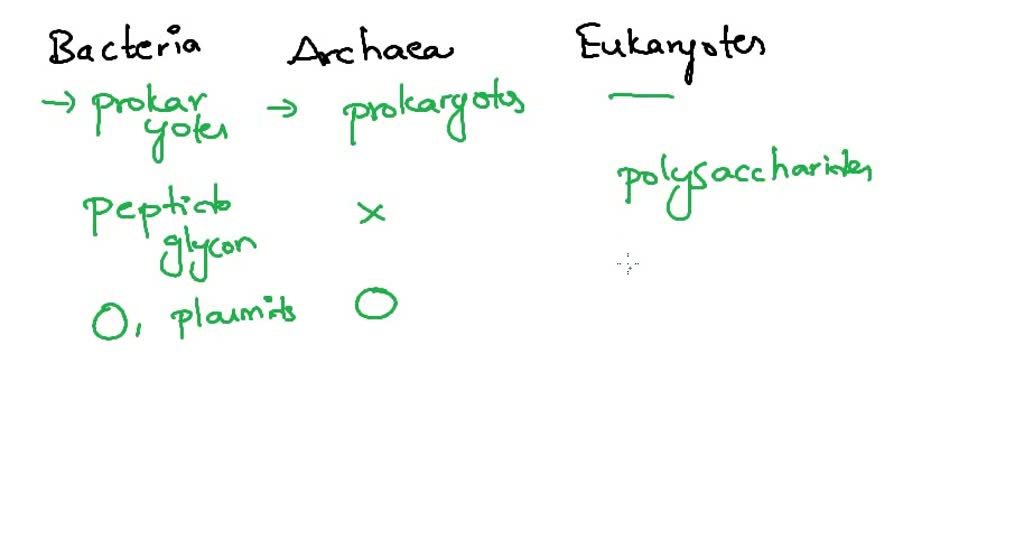 SOLVED Using slide 72 and 73 of lecture 1, which of the following is