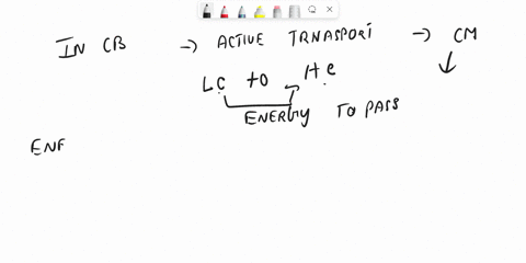 which-transport-process-requires-the-use-of-a-cells-energy-31785