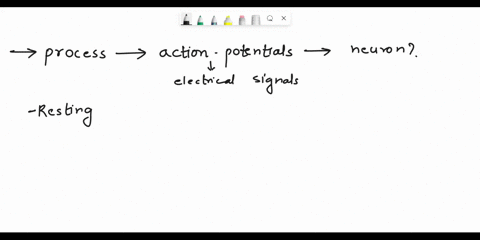 1-review-the-process-by-which-action-potentials-are-generated-and-transmitted-along-a-neuron-2-draw-an-action-potential-curve-and-label-the-following-parts-and-also-list-the-major-ion-channe-75163
