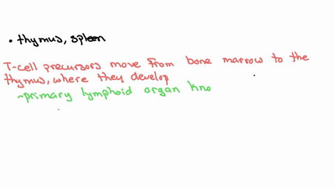 t-lymphocytes-develop-and-mature-in-the-qquad-after-leaving-this-organ-they-colonize-lymphatic-tissues-like-the-qquad-lymph-nodes-thymus-spleen-spleen-thymus-red-bone-marrow-thyroid-red-bone-marrow-to