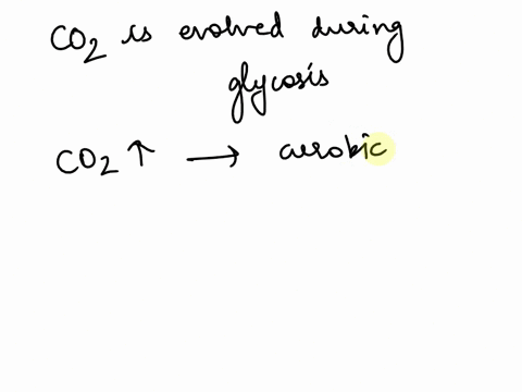 co2-is-evolved-during-glycolysis-true-or-false-24849