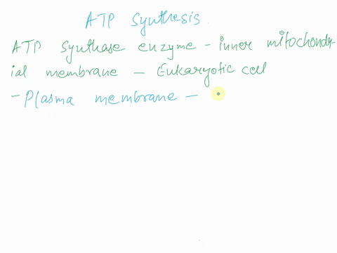 3-what-is-the-primary-process-in-animals-that-generates-atp-the-energy-currency-of-the-cell-a-nadh-and-fadhz-directly-donate-their-high-energy-electrons-to-adp-that-results-in-atp-the-enzyme-50806