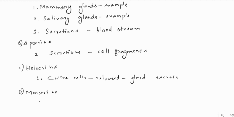 glandular-epithelium-matching-endocrine-b-apocrine-c-holocrine-d-merocrine-mammary-glanda-are-examples-of-this-type-of-gland-secretions-from-this-gland-contein-cell-fregments-secretions-from-03935