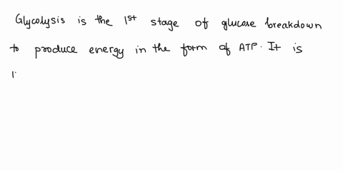 questions-vou-should-be-able-to-answer-may-not-be-quiz-questions-write-out-the-overall-reaction-for-glucose-breakdown-in-veast-what-is-the-first-stage-of-glucose-breakdown-called-what-sugar-10813