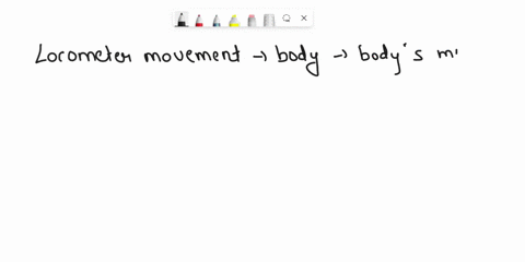 what-i-know-questions-what-i-learned-activity-4-1-what-is-locomotor-movement-2-what-are-the-examples-of-locomotor-movements-3-what-is-linear-movement-what-know-questions-what-le-1-what-is-lo-73373
