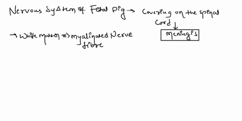 dissection-of-the-fetal-pig-nervous-system-of-the-fetal-pig-did-you-notice-a-covering-on-the-spinal-cord-what-is-it-what-is-the-difference-between-white-and-gray-matter-endocrine-system-of-t-38883