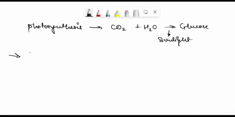 answer-the-following-questions-about-photosynthesis-point-each_-what-are-the-two-main-colors-of-light-that-drive-photosynthesis-by-exciting-chlorophyll-b-when-a-plant-is-transitioned-from-th-97135