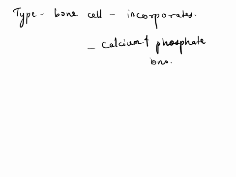 question95-which-type-of-bone-cell-incorporates-calcium-and-phosphate-ions-into-bone-tissue-oosteoclast-osteocyte-osteochondral-progenitor-cell-osteoblast-82936