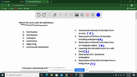 match-the-terms-with-the-definitions-mechanical-removal-of-microbes-from-an-area-destruction-of-all-form-of-microbes-including-endospores-destruction-harmful-microbes-from-inanimate-object-l-50444
