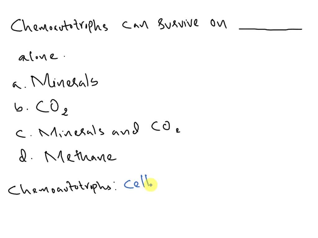 Chemoautotrophs Can Survive On Alone.a. Minerals B. Co2 C. Minerals And 