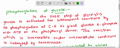 what-reactions-of-glycolysis-are-not-reversible-under-intracellular-conditions-how-are-these-reactio-63748
