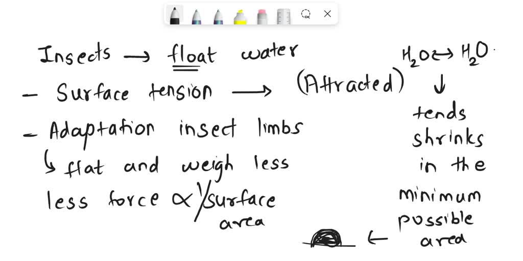 SOLVED 7. Why can some insects walk on water? 8. Water molecules are shown in the diagram below