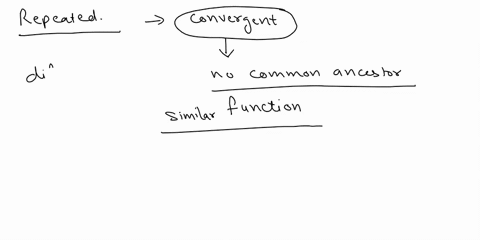 the-repeated-evolution-of-________-on-the-animal-phylogeny-is-a-classic-example-of-convergent-evolution-select-one-a-coelom-bsegmentation-cbilateral-symmetry-dmulticellularity-espiral-cleava-65894