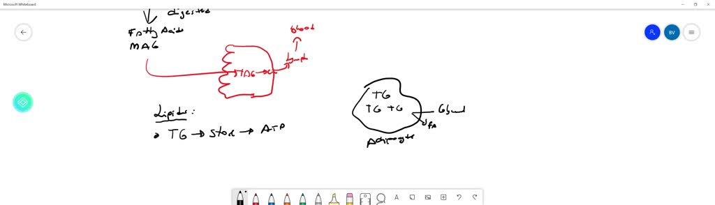 SOLVED: What are three functions that lipids serve in plants and or animals? a. Lipids serve in the storage of energy, as a structural component of hormones, and also as signaling molecules. SOLVED: What are three functions that lipids serve in plants and or animals? a. Lipids serve in the storage of energy, as a structural component of hormones, and also as signaling molecules.