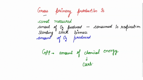 gross-primary-production-is-impossible-t0-mcasurc-the-amount-of-oxygen-produced-by-photosynthesis-minus-the-amount-consumed-in-respiration-standing-stock-biomass-the-amount-of-oxygen-produce-44744