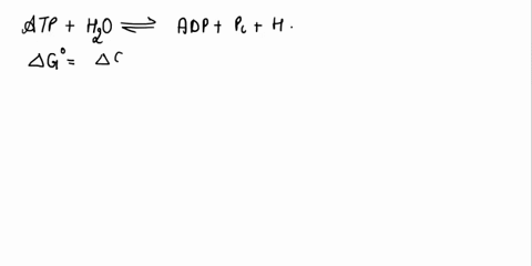 atp-hydrolysis-is-accompanied-with-the-release-of-a-proton-to-the-aqueous-medium-water-solvent-atp-4-h2o-aa-adp-3-hpo4-2-h-b-why-might-the-level-of-hydrolysis-change-at-these-2-specific-ph-v-87526