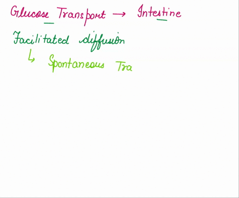 how-does-the-glucose-transport-in-intestine-epithelial-cells-to-blood-explain-the-mechanism-of-all-transports-36247