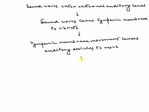 please-read-section-157-in-your-text-to-understand-how-the-process-of-hearing-works-you-may-also-find-this-site-especifically-theprocess-of-hearingand-bbc-videohelpful-nowput-the-steps-below-01062