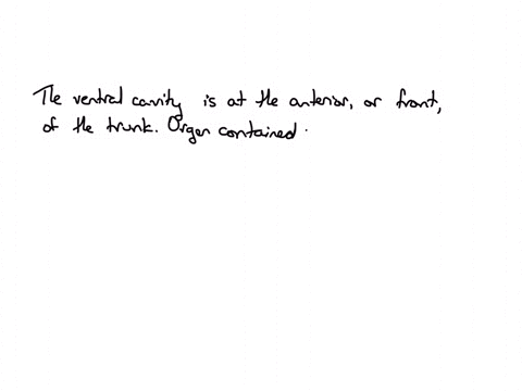 4-which-of-the-following-is-not-pirt-of-the-wertal-exity-thoncic-cavily-spinal-cavity-pericardals-cavity-abdominopelvic-cavity
