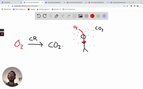as-cellular-respiration-increases-the-partial-pressure-of-carbon-dioxide-in-the-body-will-____________-if-no-compensatory-action-is-taken-a-increase-b-decrease-c-stay-the-same-d-be-dependent-67718