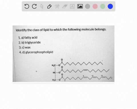 QUESTION 28 Identify the class of lipid HO CH3 CH3 CH3 CH3 CH3 A. wax B ...