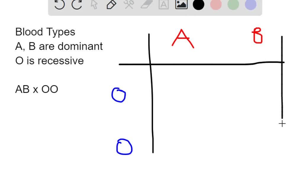 SOLVED: Using a Punnett square, determine the possible genotypes ...