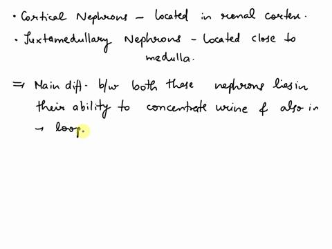 how-do-cortical-and-juxtamedullary-nephrons-differ-with-respect-toreabsorbing-nutrients-and-concentrating-urine-28599