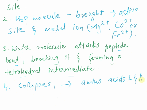 question-2-an-enzyme-has-been-purified-from-ian-comc-up-with-comniel-mecnanismn-ietrovirus-which-you-call-arviz-you-need-help-developing-luv-drug-combut-this-pathogen-here-what-it-is-pfoleus-12862